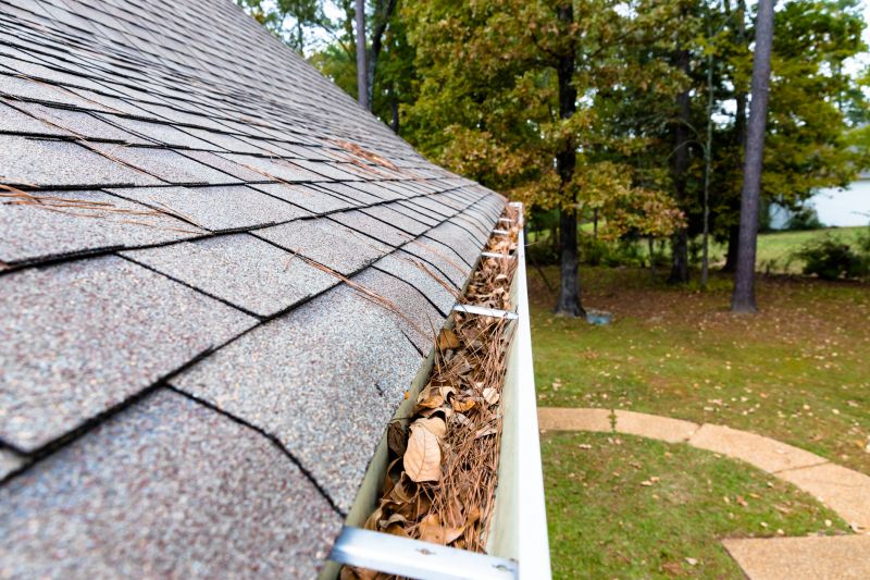 Commercial Gutter Maintenance in Littleton, CO