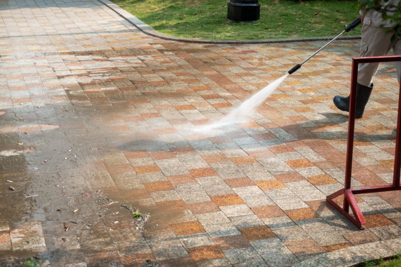Paver Cleaning