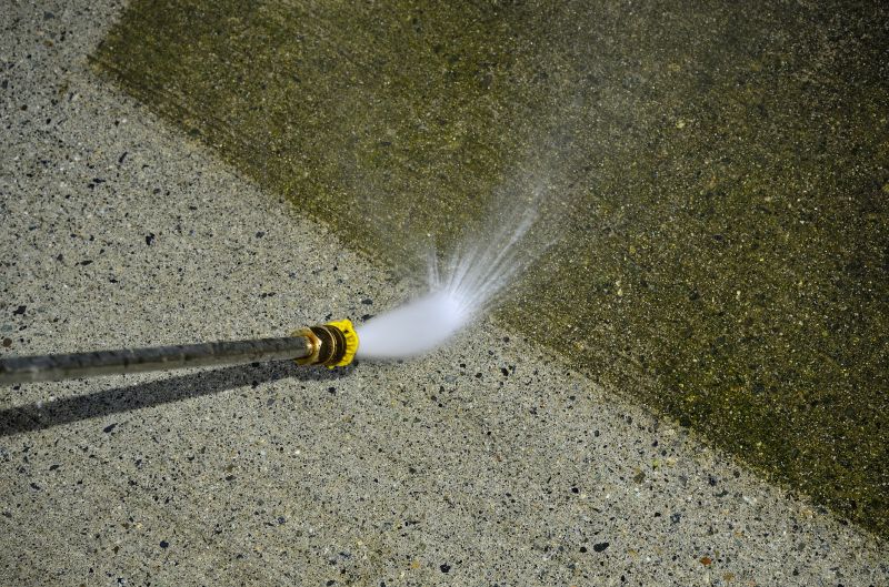 Driveway and Sidewalk Cleaning
